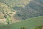 DSC 0402
