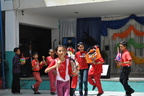 DSC 0706