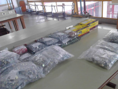 dot ciencias 6