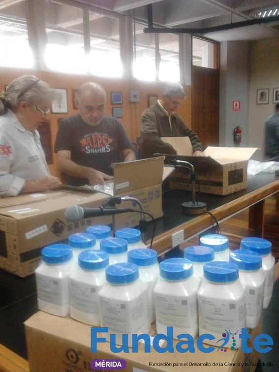 dot ciencias 13