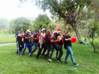 IMG 20230628 125540