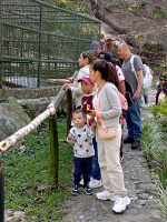 Día 1 Visita guiada al parque Zoológico Chorros de Milla