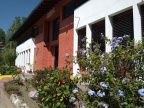IMG 20240125 105117 901
